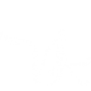valogo